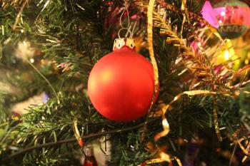 Pečený vánoční stromeček Ládi Hrušky za 64 Kč